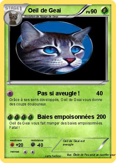 Pokemon Oeil de Geai