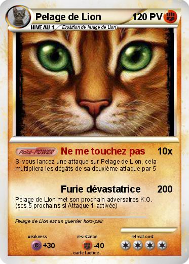 Pokemon Pelage de Lion