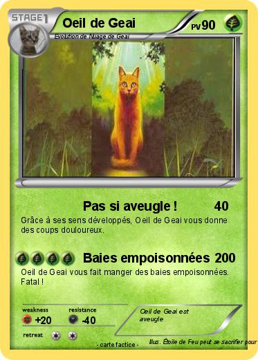 Pokemon Oeil de Geai
