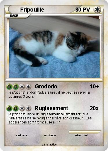 Pokemon Fripouille