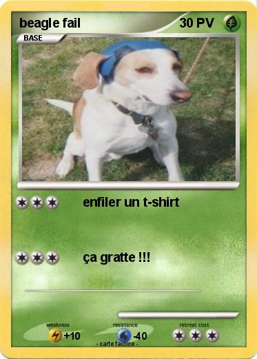 Pokemon beagle fail