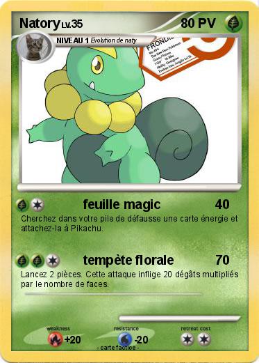 Pokemon Natory