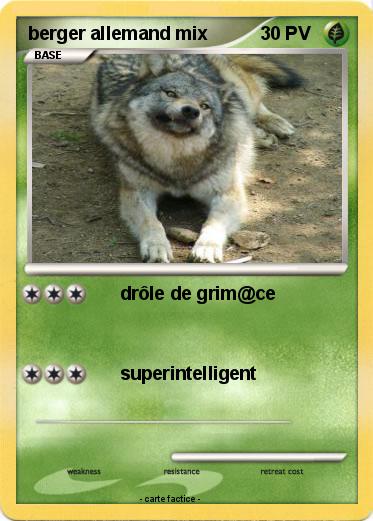 Pokemon berger allemand mix