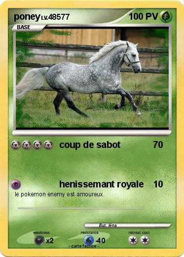 Pokemon poney