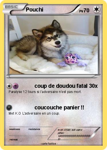 Pokemon Pouchi