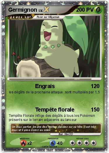 Pokemon Germignon