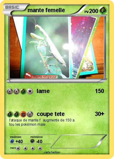 Pokemon mante femelle