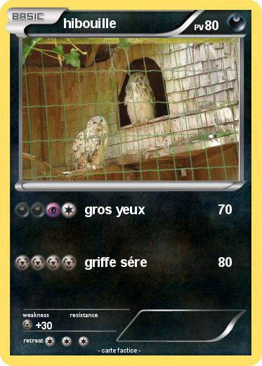 Pokemon hibouille