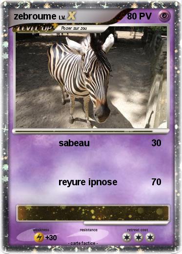 Pokemon zebroume
