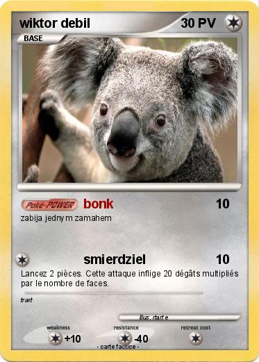 Pokemon wiktor debil