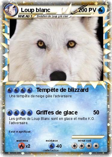 Pokemon Loup blanc