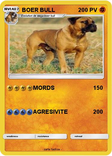 Pokemon BOER BULL