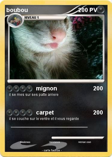Pokemon boubou