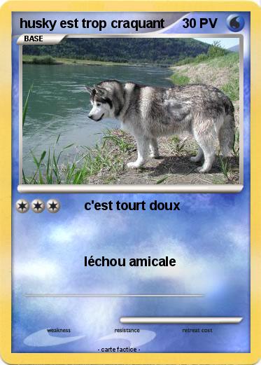 Pokemon husky est trop craquant