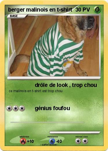 Pokemon berger malinois en t-shirt