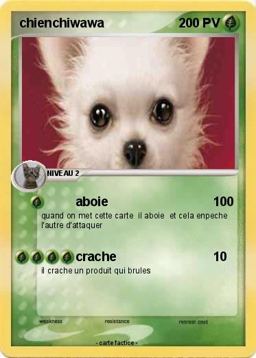 Pokemon chienchiwawa