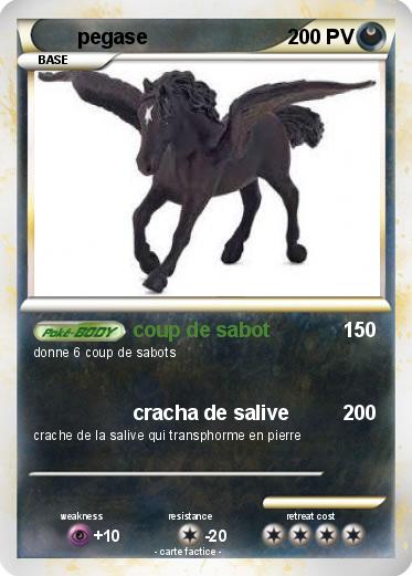 Pokemon pegase