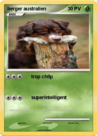 Pokemon berger australien