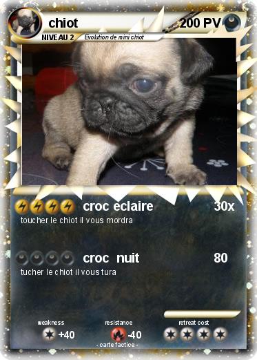 Pokemon chiot