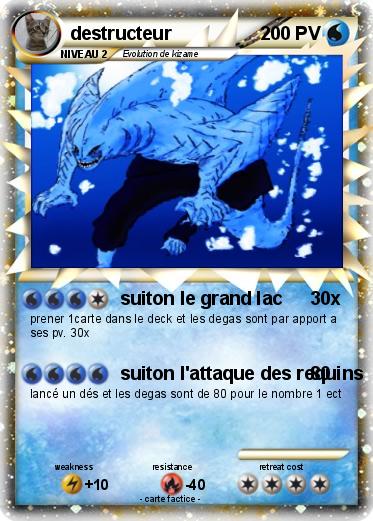 Pokemon destructeur