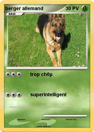 Pokemon berger allemand