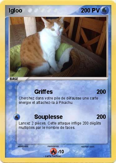 Pokemon Igloo