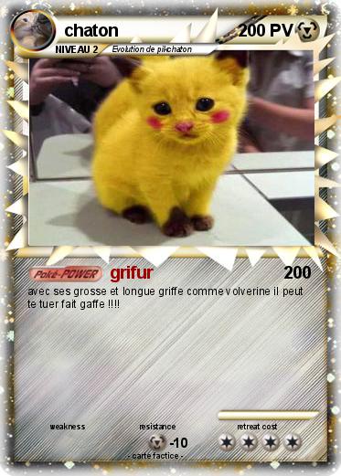 Pokemon chaton