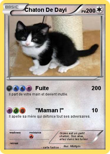Pokemon Chaton De Dayi