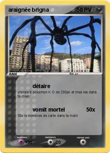 Pokemon araignée brigna