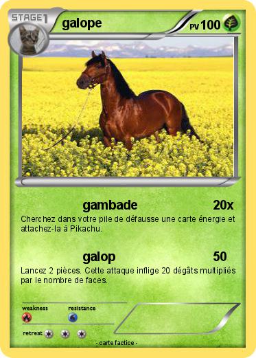 Pokemon galope