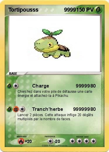Pokemon Tortipousss                 9999