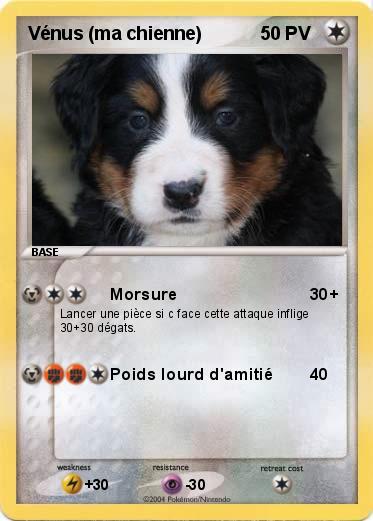 Pokemon Vénus (ma chienne) 