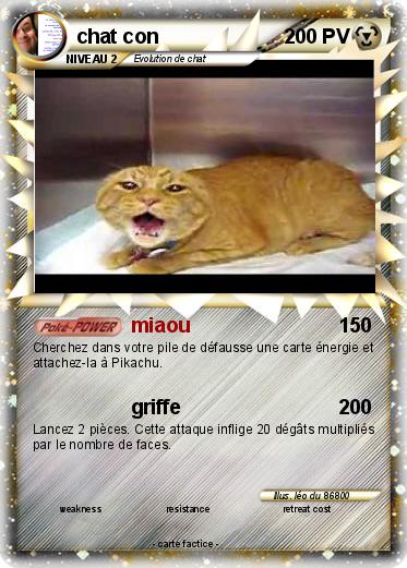 Pokemon chat con