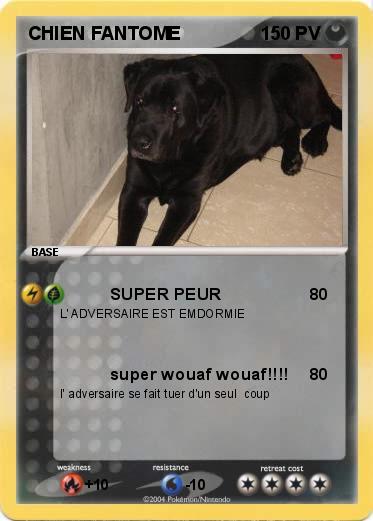 Pokemon CHIEN FANTOME