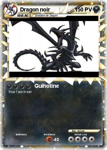 Pokemon Dragon noir