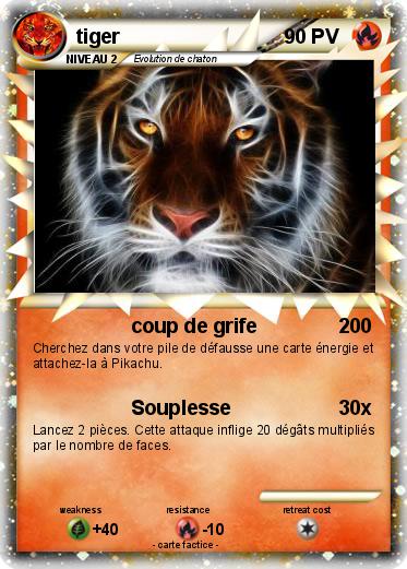 Pokemon tiger