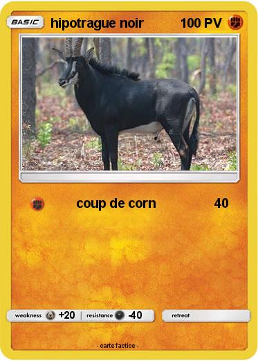 Pokemon hipotrague noir