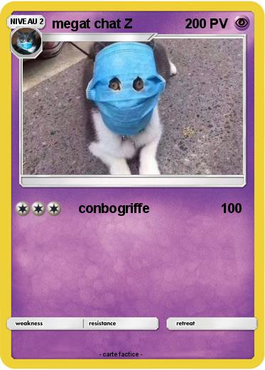 Pokemon megat chat Z