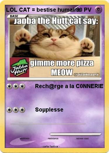Pokemon LOL CAT = bestise humaine