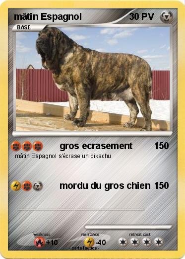 Pokemon mâtin Espagnol