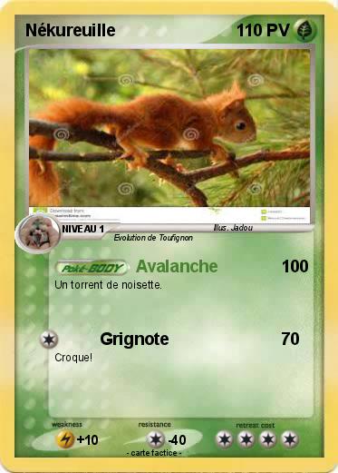 Pokemon Nékureuille