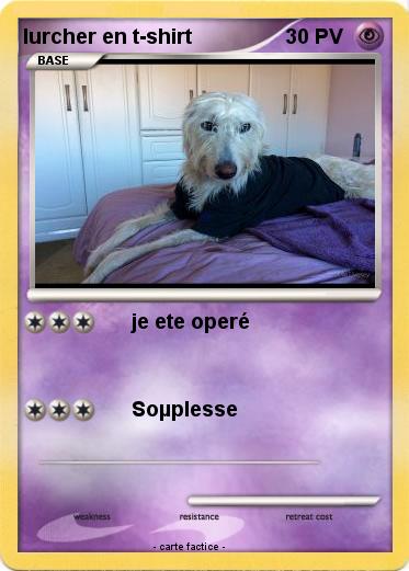 Pokemon lurcher en t-shirt