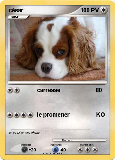 Pokemon césar