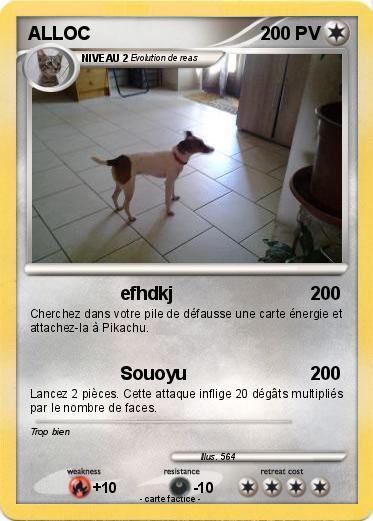 Pokemon ALLOC