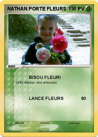 Pokemon NATHAN PORTE FLEURS