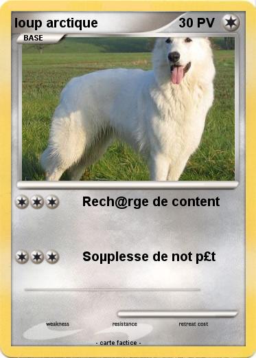 Pokemon loup arctique