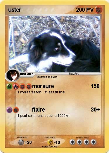 Pokemon uster
