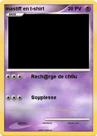 Pokemon mastiff en t-shirt