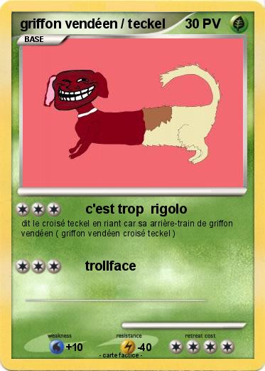Pokemon griffon vendéen / teckel