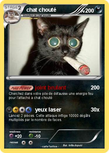 Pokemon chat chouté